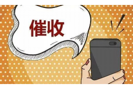 吴忠贷款清欠服务